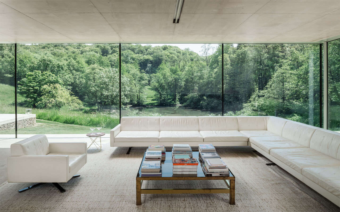 Modern living room with forest view.